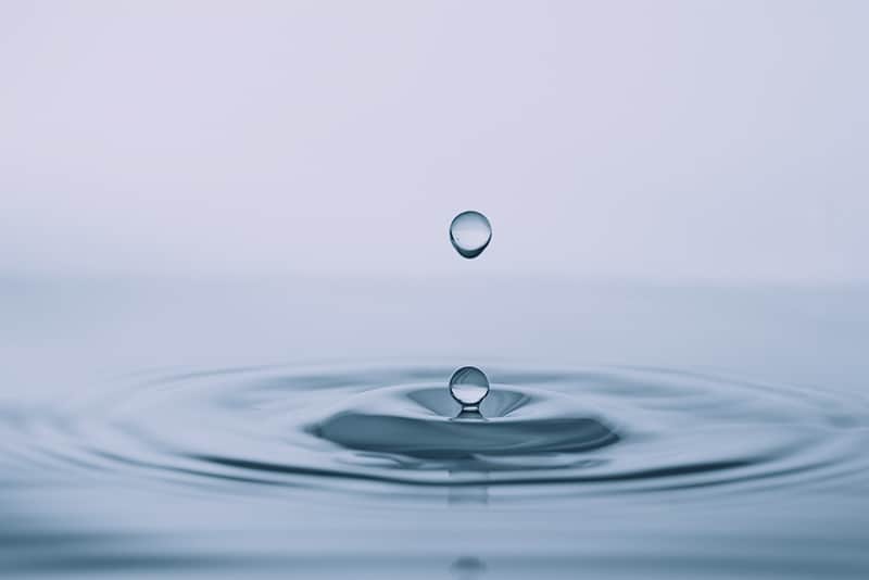 Beitragsbild: Legionellen